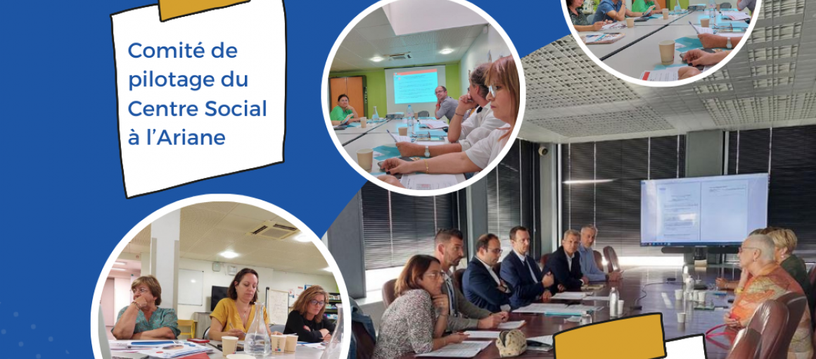 COPIL et CCL pour le Service Développement Social et Urbain (DSU)
